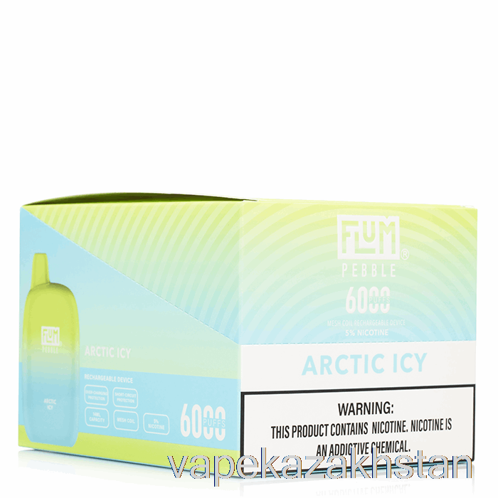 Vape Kazakhstan [10-Pack] Flum Pebble 6000 Disposable